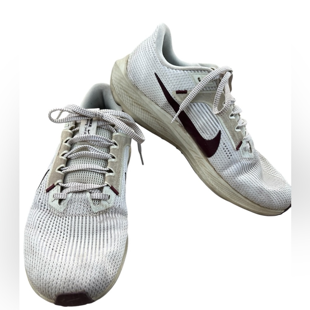 NIKE PEGASUS